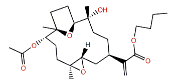 Xidaosinularide A